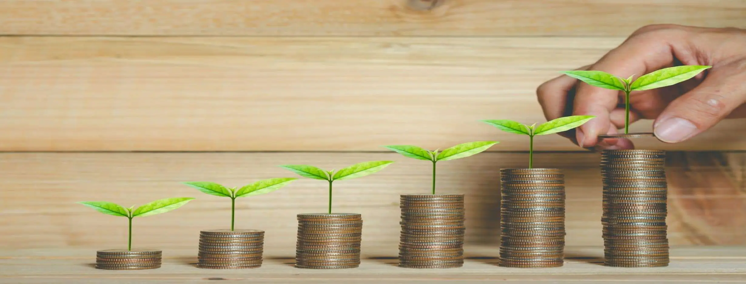 Image for Beyond Financial Returns
